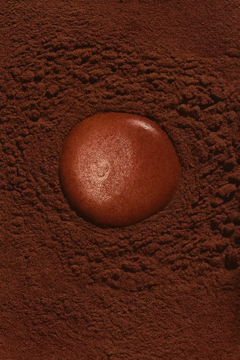 Fat Reduced Cocoa Powder